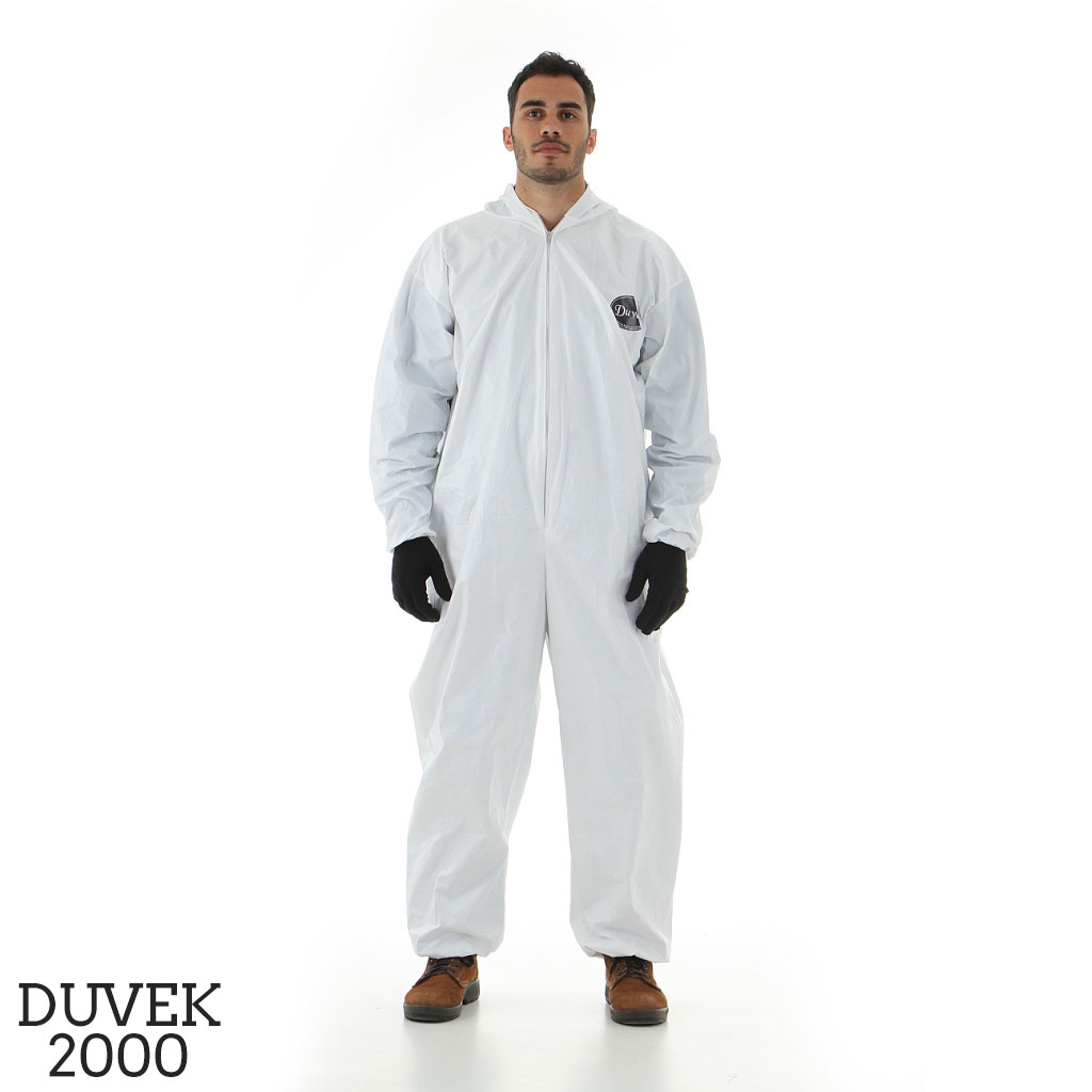 MACACAO DUVEK - CA 42444